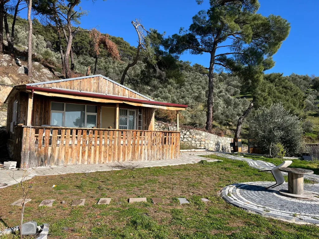 Altınolukta FULL Deniz Manzaralı İçerisinde Evi Olan 1.649 Metrekare Muhteşem Zeytinlik - Görsel 15
