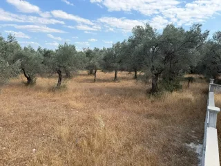 AKÇAY CEMİL TEMEL MEVKİ 795 METREKARE YASA ALIŞVERİŞ MERKEZİNE KOMŞU İMARLI SATILIK ARSA - Görsel 4