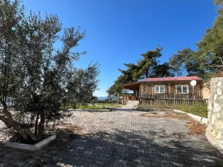 Altınolukta FULL Deniz Manzaralı İçerisinde Evi Olan 1.649 Metrekare Muhteşem Zeytinlik - Görsel 16