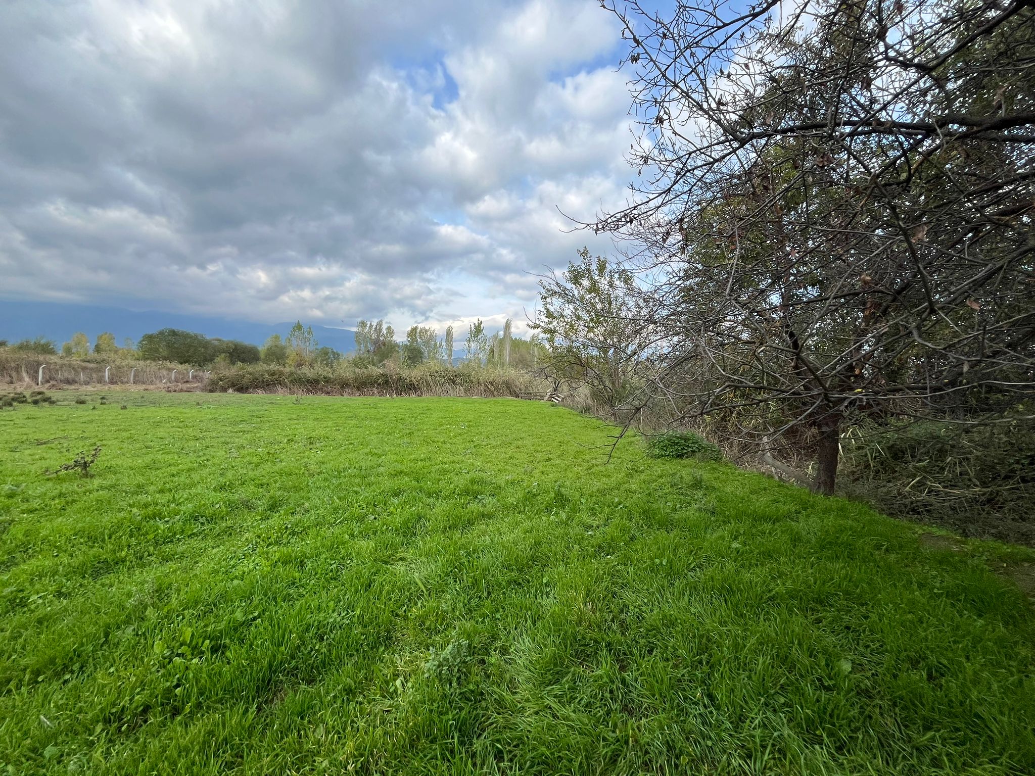 EDREMİT ALTINKUMDA YÜKSEK POTANSİYELLİ YATIRIM FIRSATI - Görsel 11