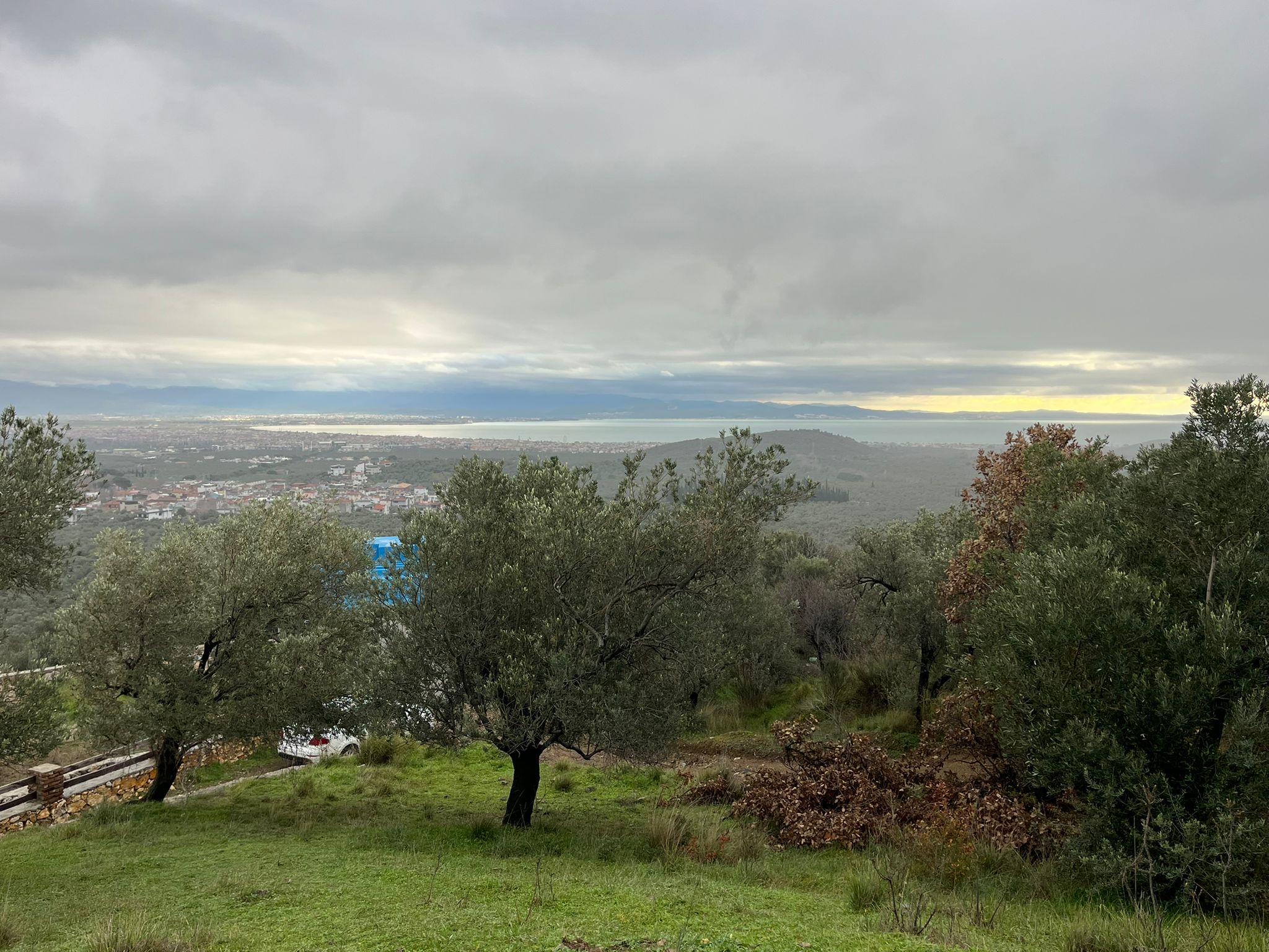 KIZILKEÇİLİDE KÖYE YAKIN DENİZ MANZARALI ZEYTİNLİK - Görsel 6