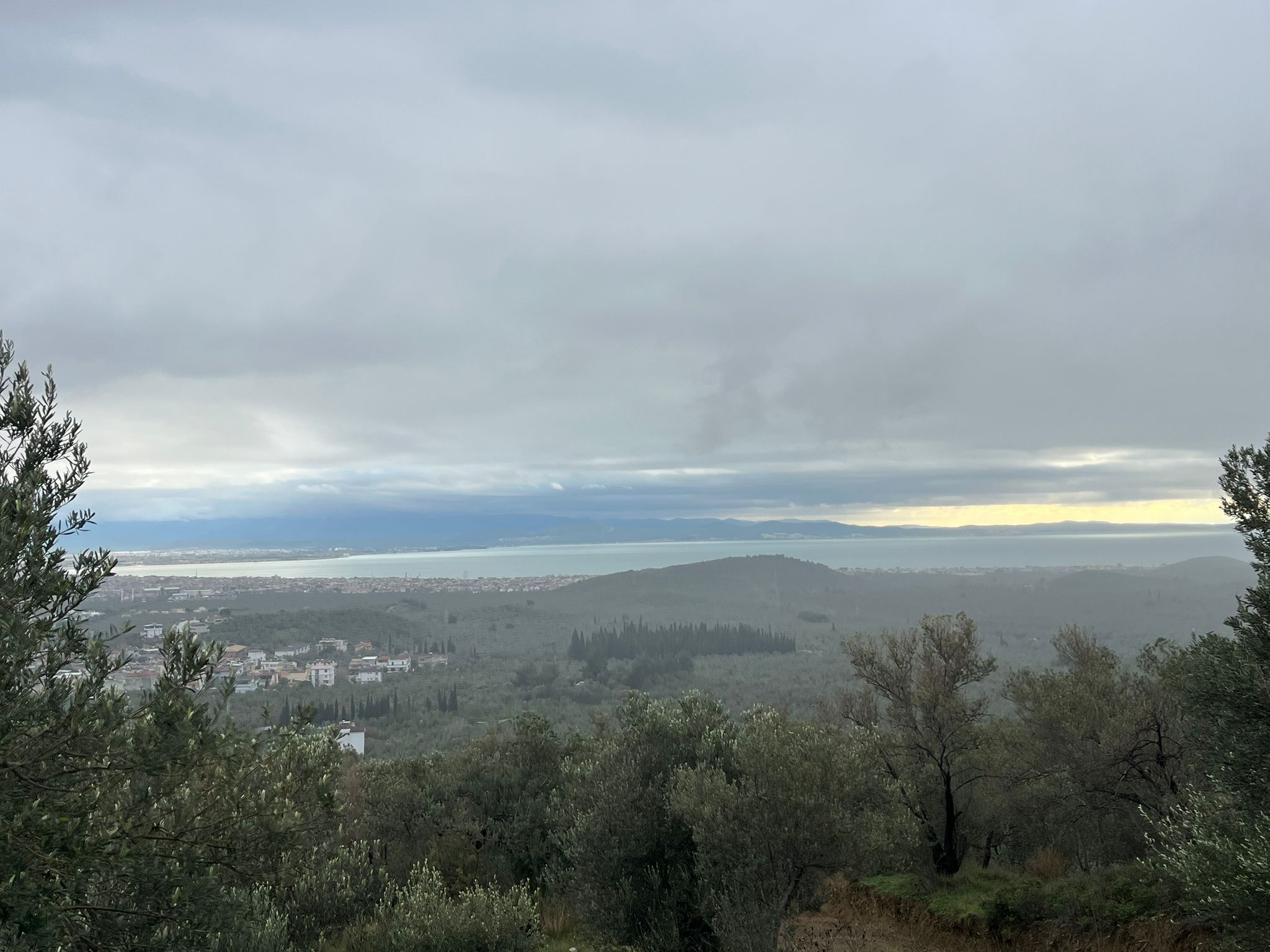 KIZILKEÇİLİDE KÖYE YAKIN DENİZ MANZARALI ZEYTİNLİK - Görsel 7