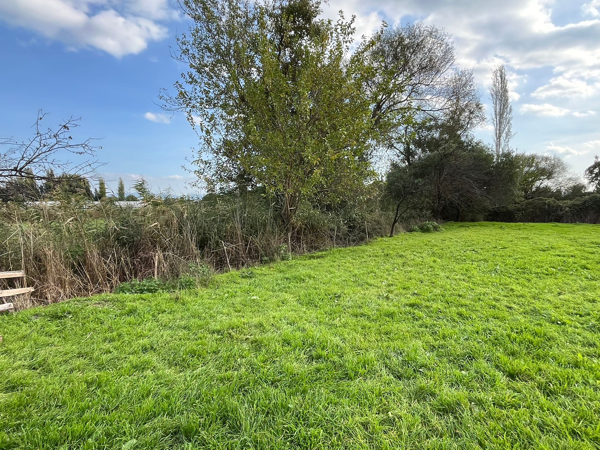 EDREMİT ALTINKUMDA YÜKSEK POTANSİYELLİ YATIRIM FIRSATI - Görsel 9