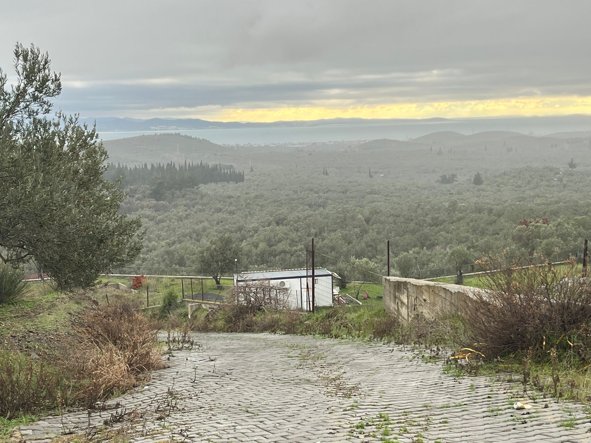 KIZILKEÇİLİDE KÖYE YAKIN DENİZ MANZARALI ZEYTİNLİK - Görsel 5