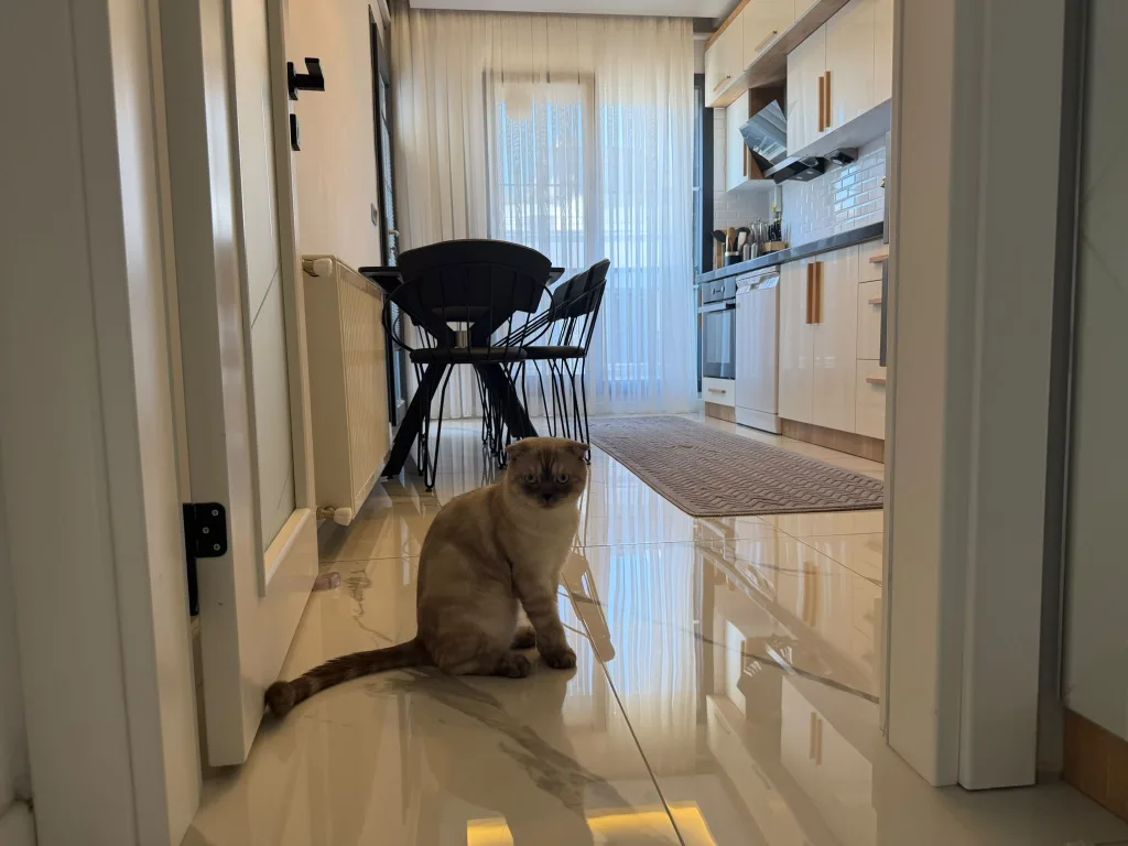 AKÇAY ALTINKUMDA 4+1 AYRI MUTFAK ULTRA LÜX DUBLEX DAİRE - Görsel 11