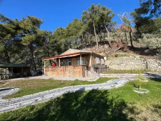 Altınolukta FULL Deniz Manzaralı İçerisinde Evi Olan 1.649 Metrekare Muhteşem Zeytinlik - Görsel 17