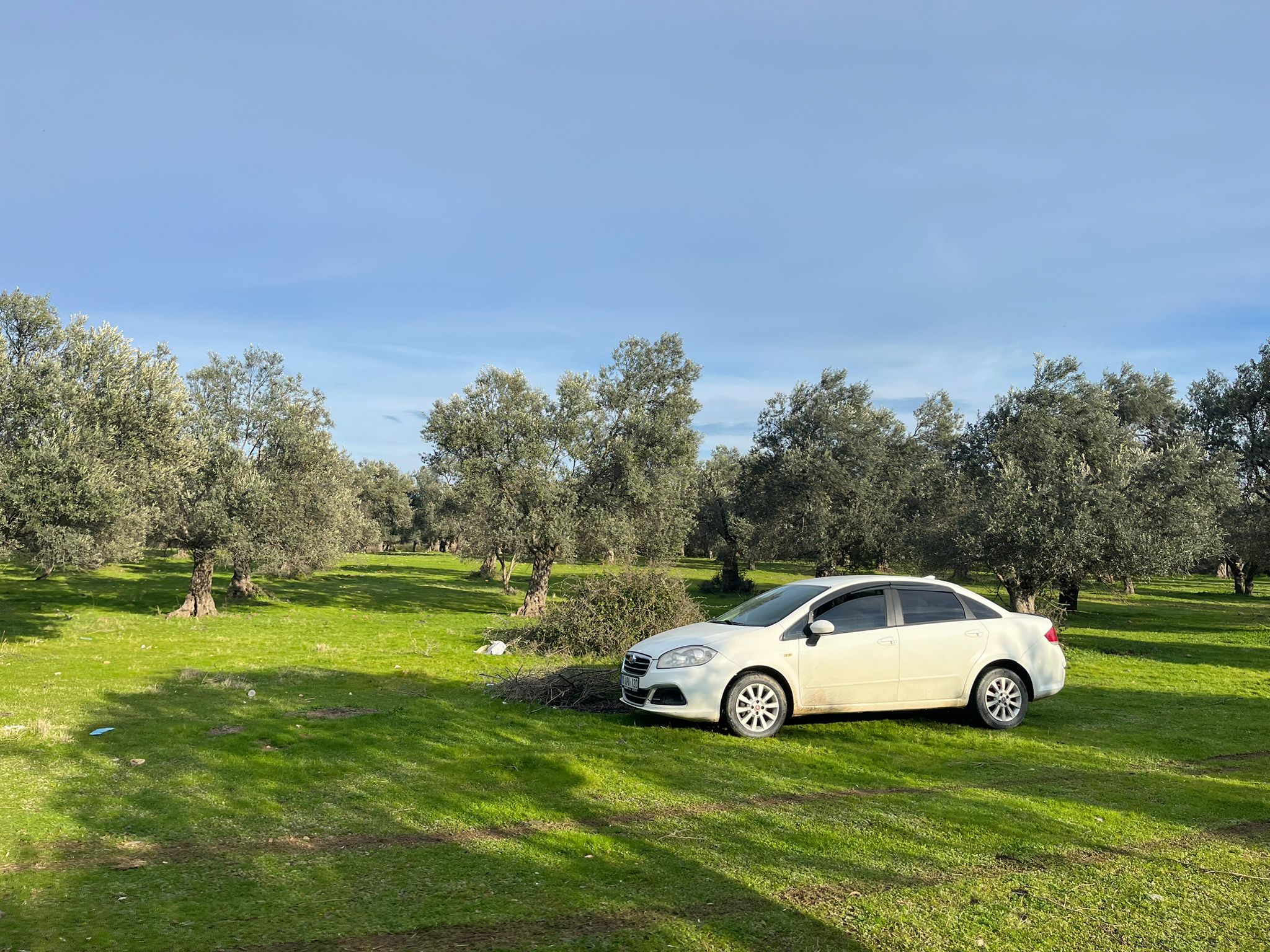 KUZEY EGE CENNETİ GÜREDE M2 FİYATI EN UYGUN ARSA - Görsel 3