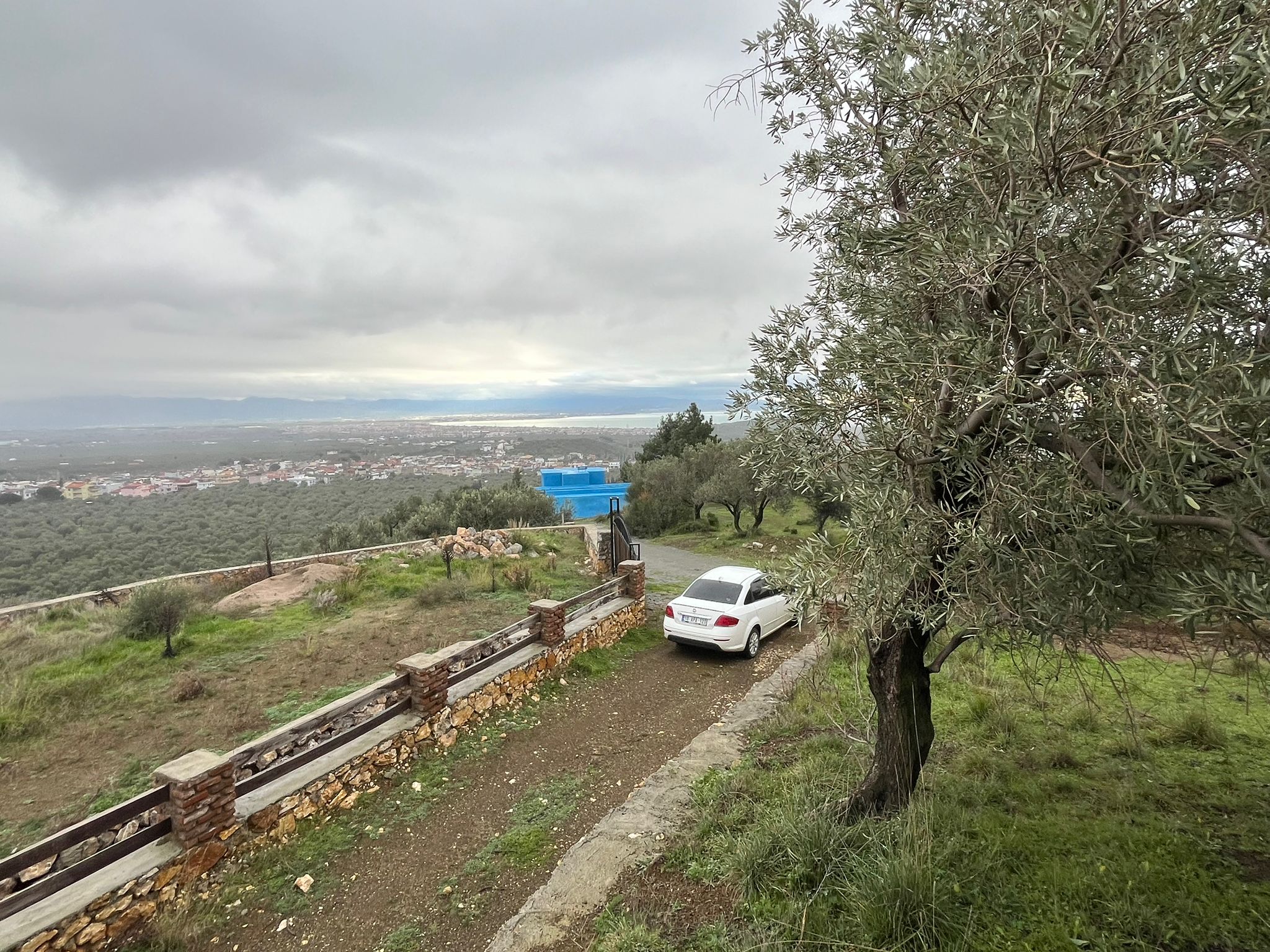 KIZILKEÇİLİDE KÖYE YAKIN DENİZ MANZARALI ZEYTİNLİK - Görsel 13