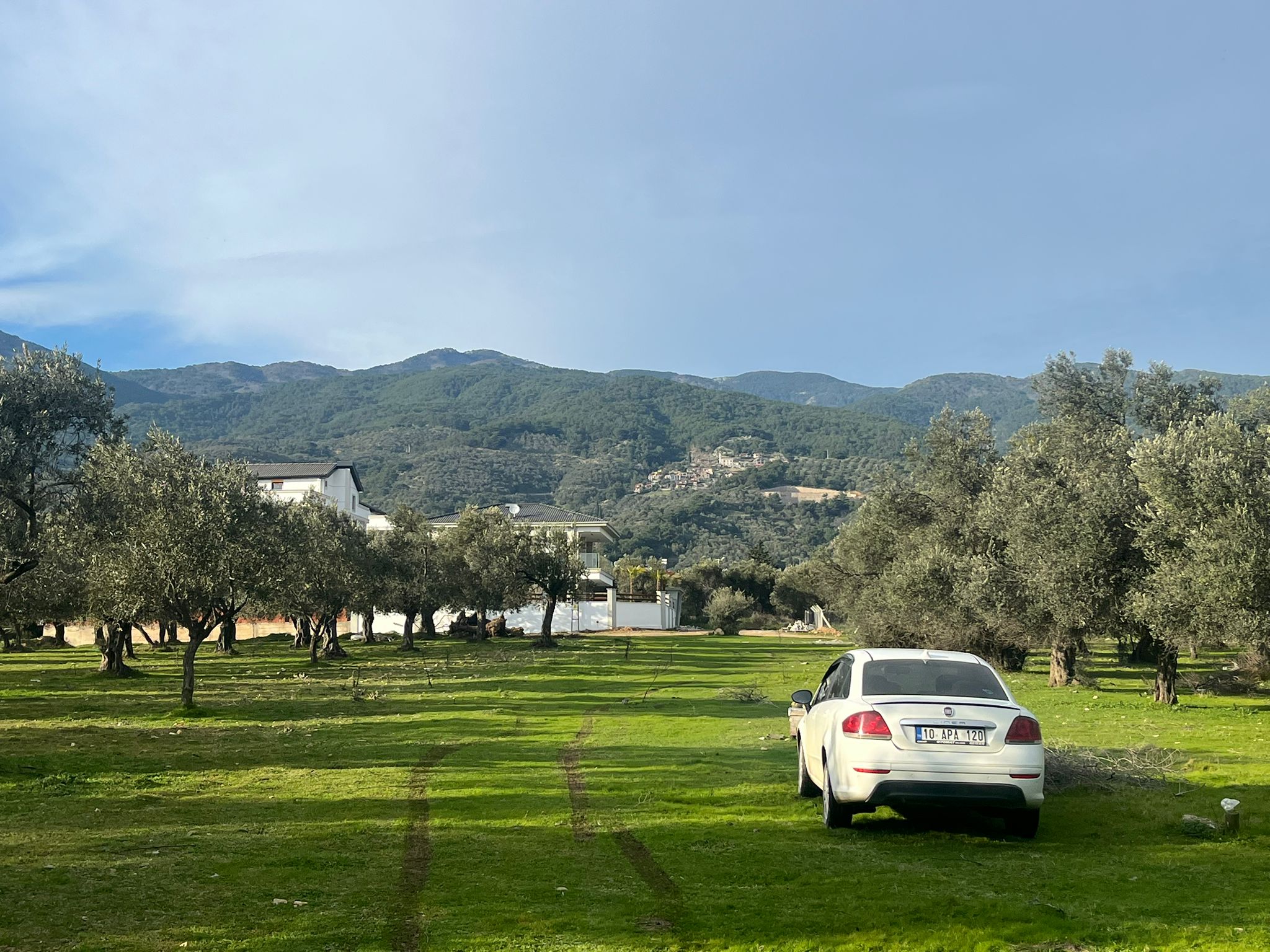 KUZEY EGE CENNETİ GÜREDE M2 FİYATI EN UYGUN ARSA - Görsel 6