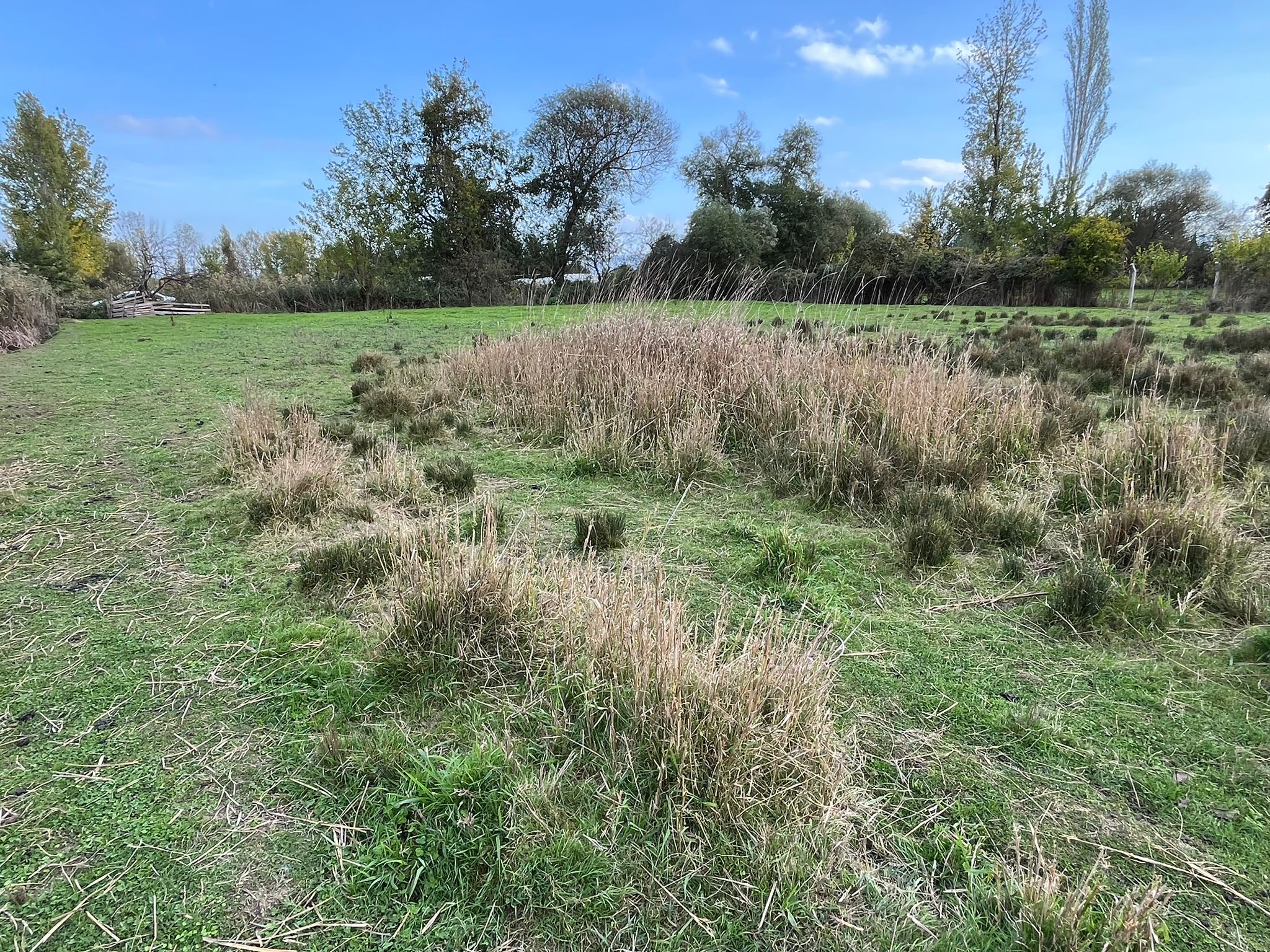 EDREMİT ALTINKUMDA YÜKSEK POTANSİYELLİ YATIRIM FIRSATI - Görsel 14