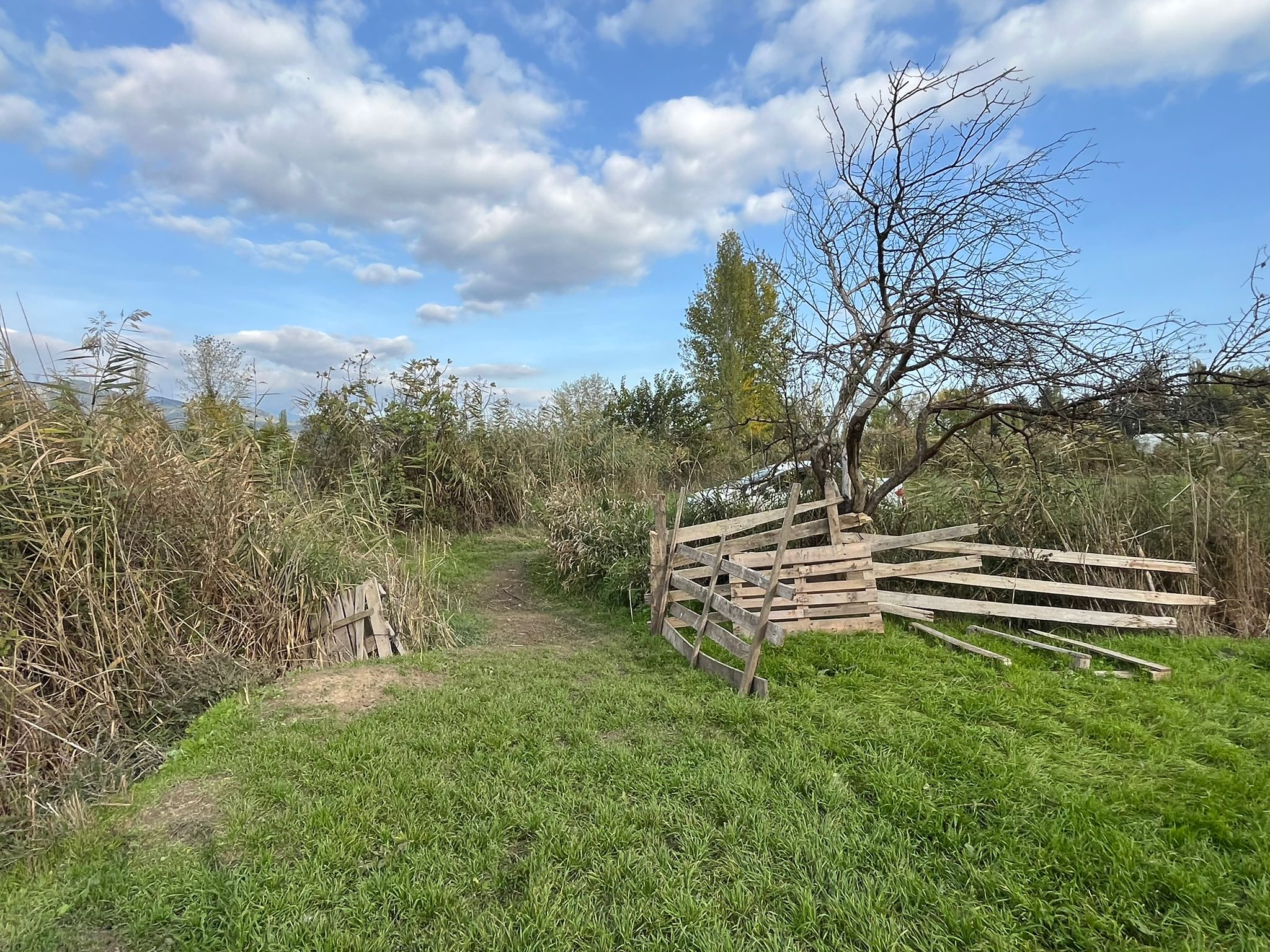 EDREMİT ALTINKUMDA YÜKSEK POTANSİYELLİ YATIRIM FIRSATI - Görsel 18