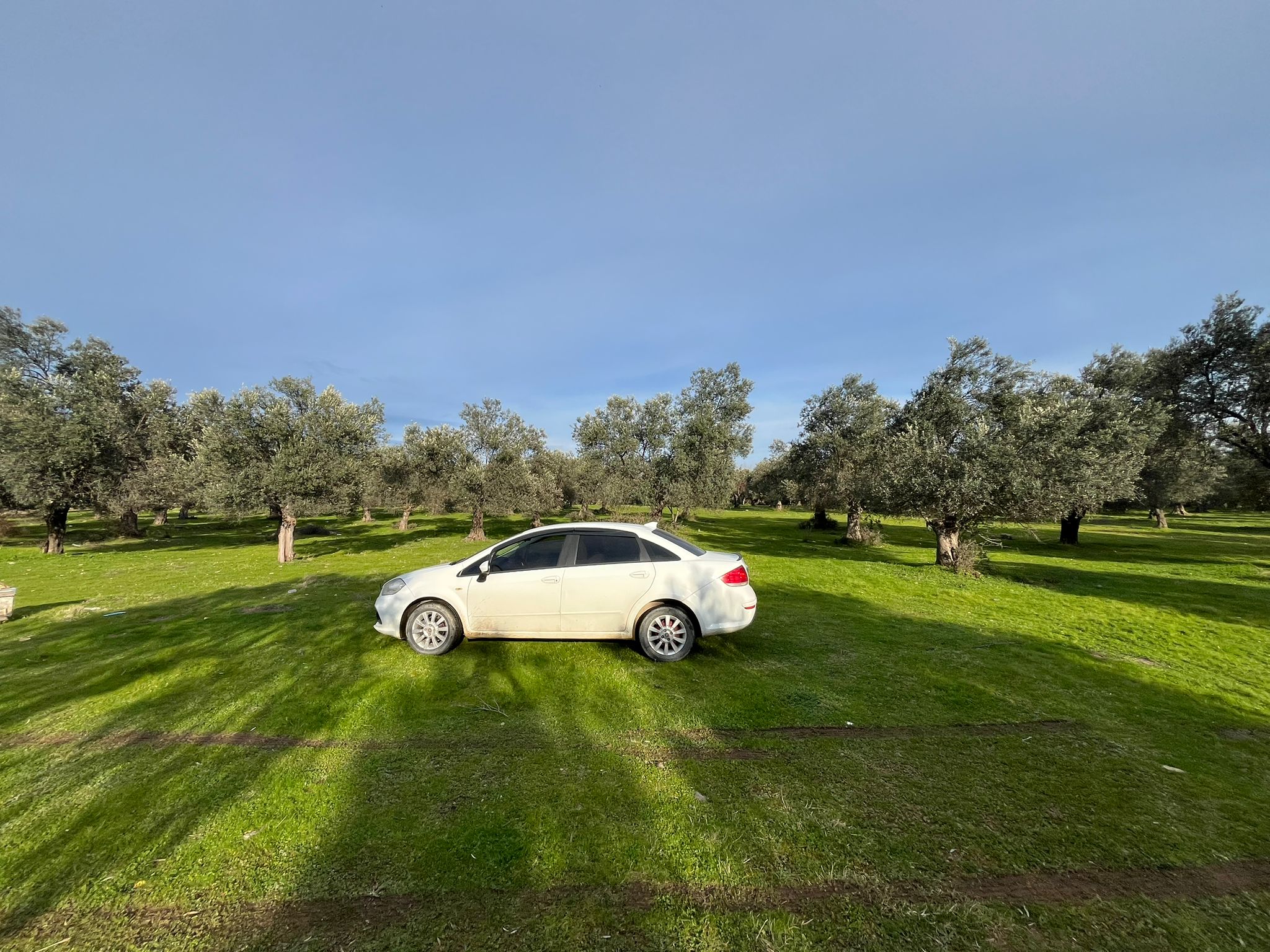 KUZEY EGE CENNETİ GÜREDE M2 FİYATI EN UYGUN ARSA - Görsel 10