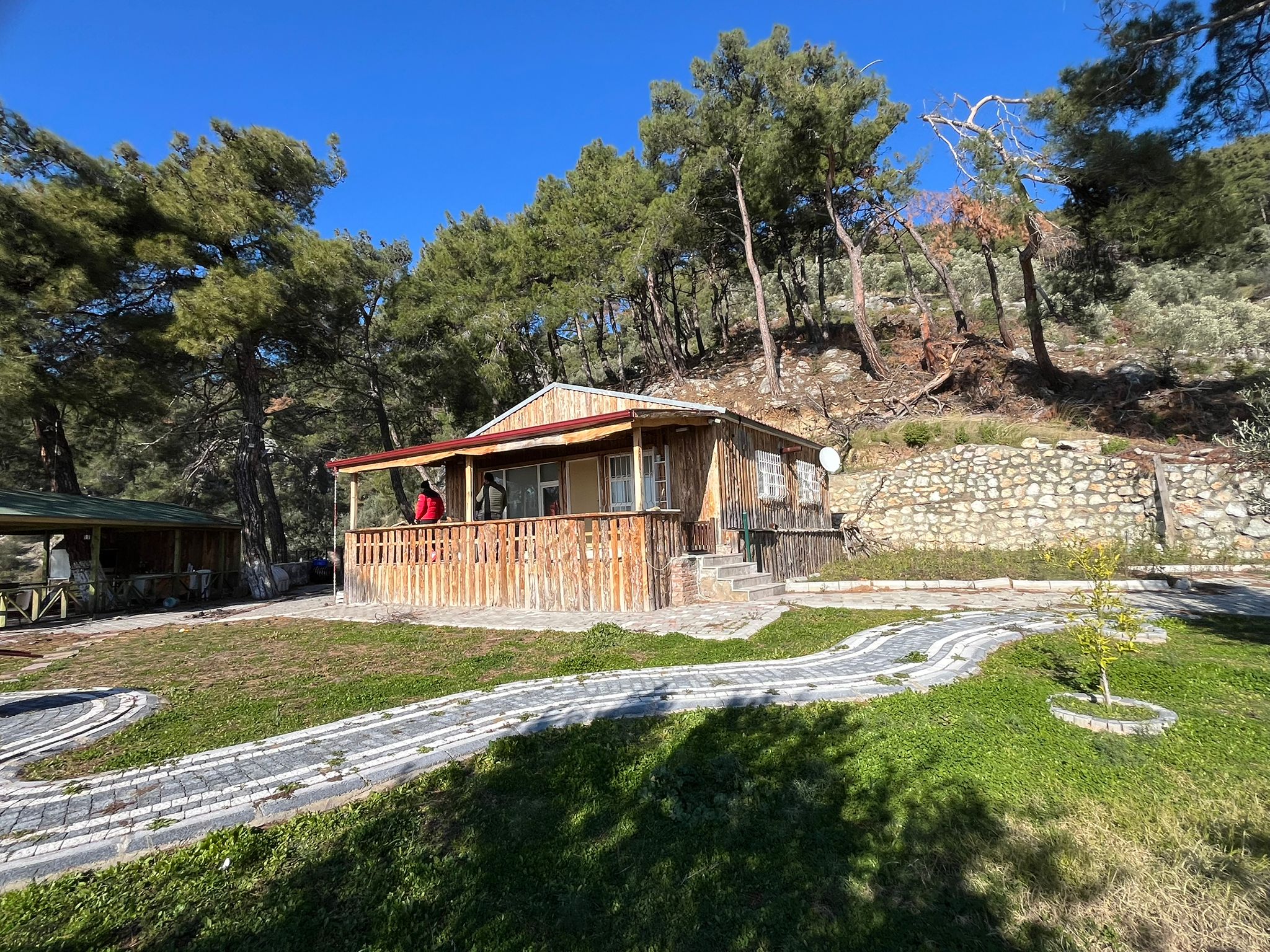 Altınolukta FULL Deniz Manzaralı İçerisinde Evi Olan 1.649 Metrekare Muhteşem Zeytinlik - Görsel 17