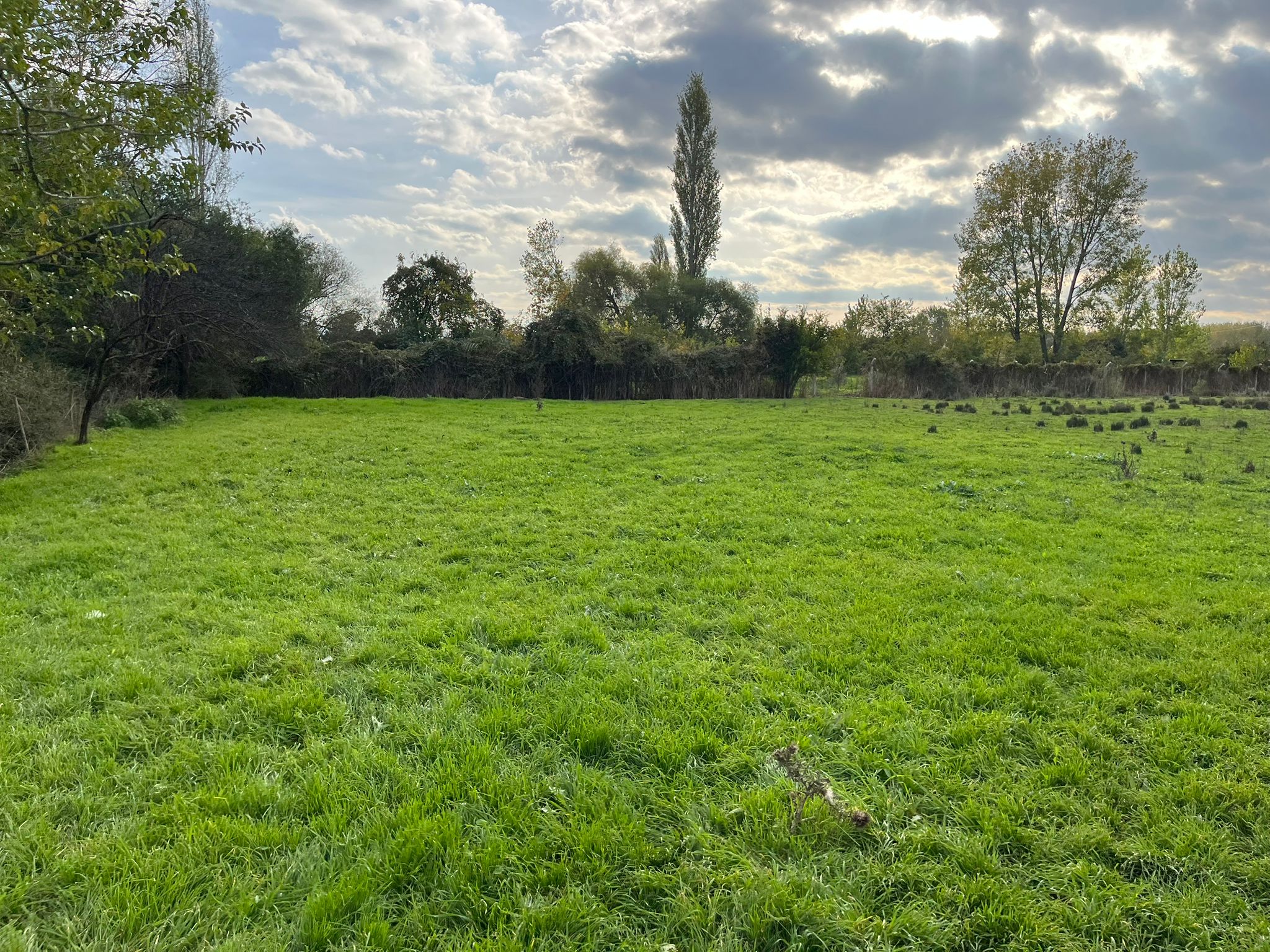 EDREMİT ALTINKUMDA YÜKSEK POTANSİYELLİ YATIRIM FIRSATI - Görsel 17