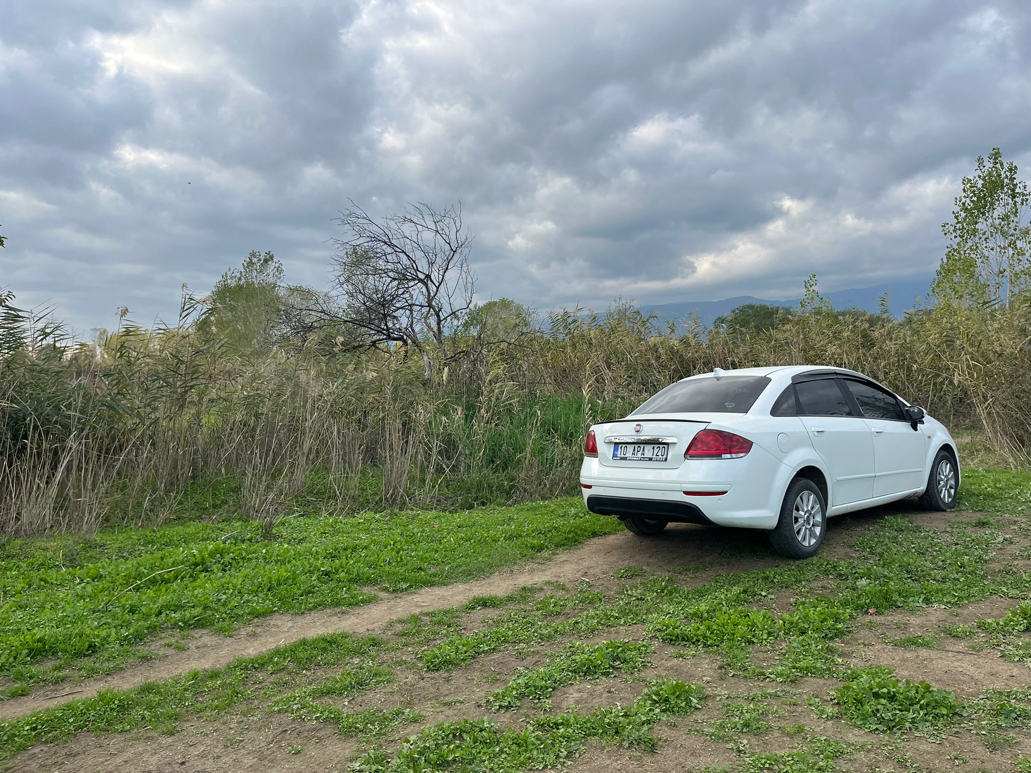 EDREMİT ALTINKUMDA YÜKSEK POTANSİYELLİ YATIRIM FIRSATI - Görsel 10