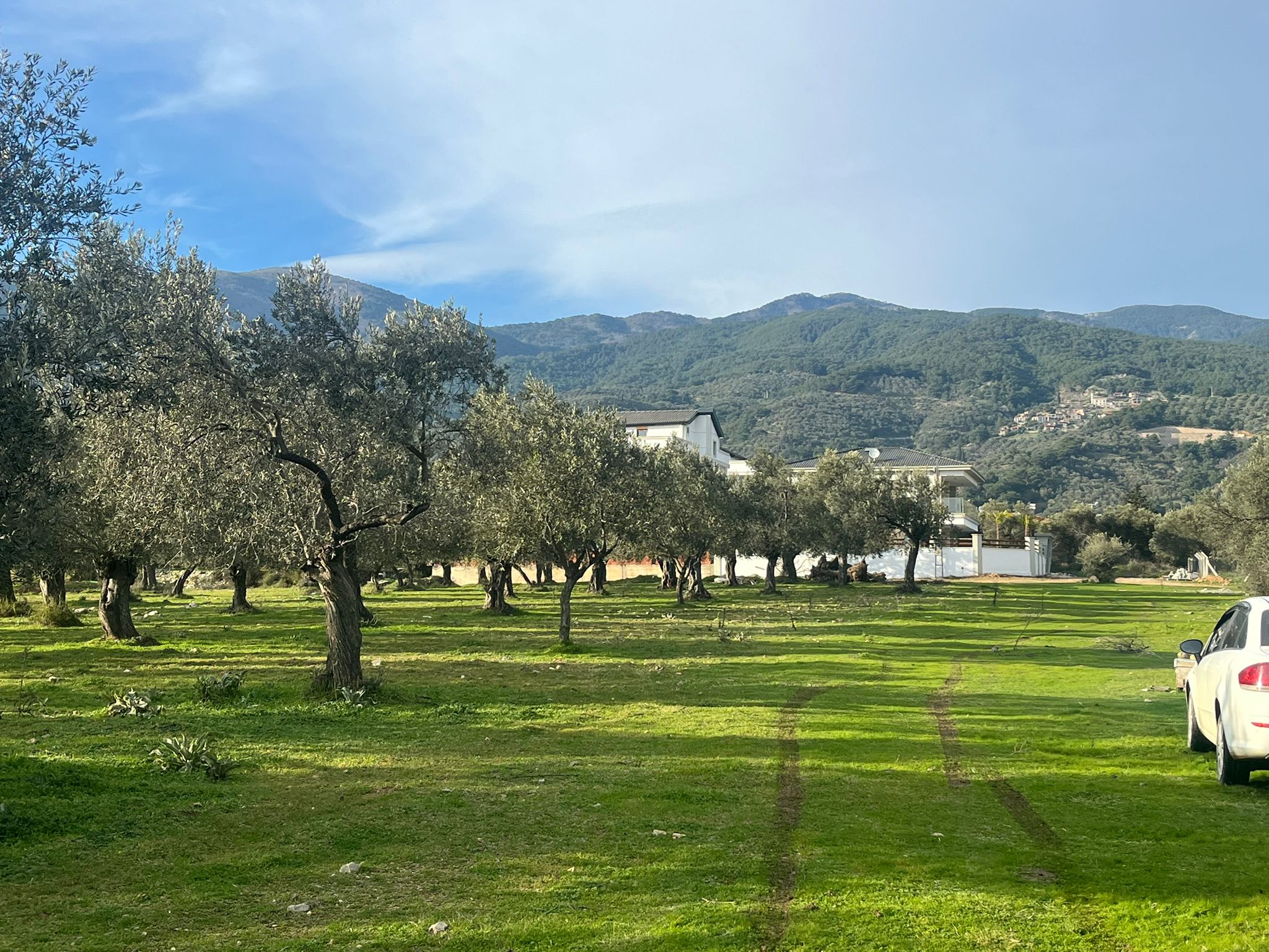 KUZEY EGE CENNETİ GÜREDE M2 FİYATI EN UYGUN ARSA - Görsel 5