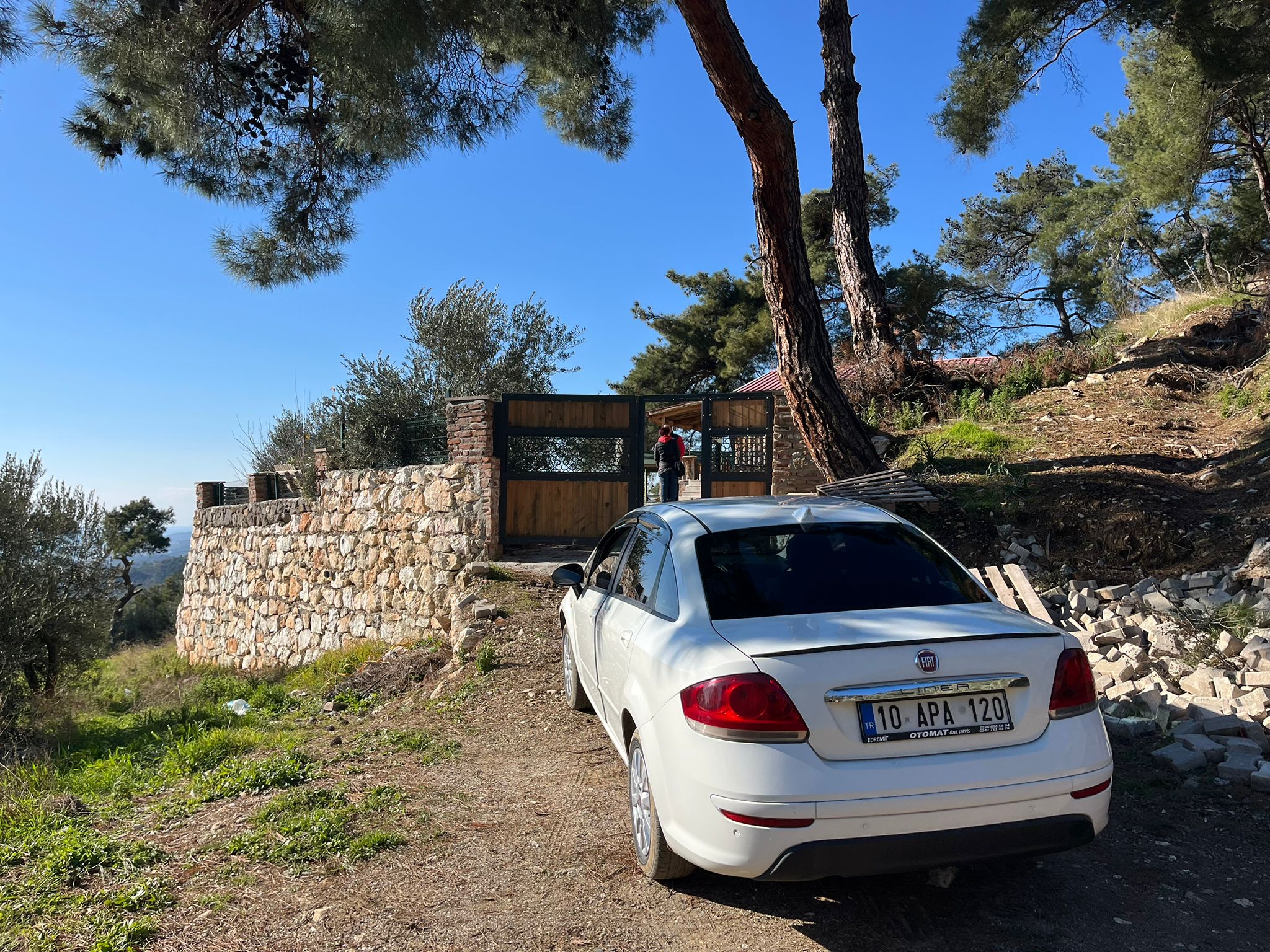 Altınolukta FULL Deniz Manzaralı İçerisinde Evi Olan 1.649 Metrekare Muhteşem Zeytinlik - Görsel 5